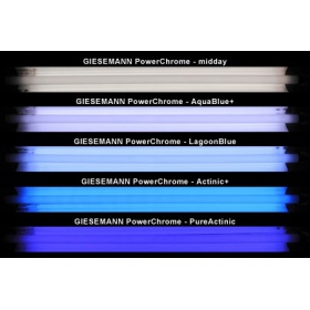 80W Świetlówka T5 Giesemann Aqua Blue+ 145cm