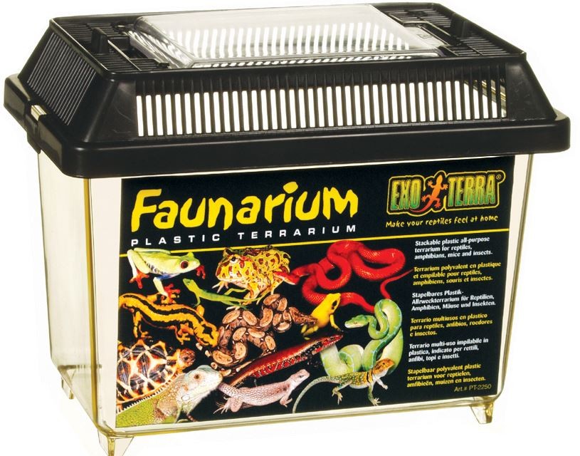 ExoTerra Faunariaum Mini 18x11,6x14,5 plastikowe terrarium