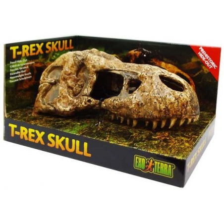 Exo Terra T-Rex skull (czaszka dinozaura)