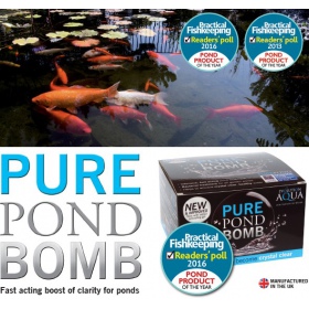 PURE Pond Bomb 