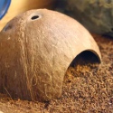 Terrario CocoCave L - połówka kokosa duża