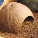 Wacool Coco - Kryjówka naturalny kokos