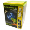 Komodo Daylight 50W - żarówka grzewcza 3w1