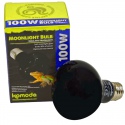Komodo Moonlight 50W - nocna żarówka grzewcza