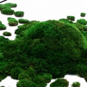 Natural Forest Moss - prawdziwy mech ciemna zieleń