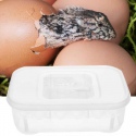 Terrario EggIncubator - inkubator na 12 jaj