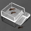 Ant Expert Ant Feeder - karmnik dla mrówek