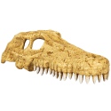 Repti-Zoo Crocodile Skull M - czaszka krokodyla