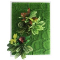 Bello Plant - Chinese Evergreen - roślina XL do obrazów 3D