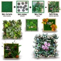 Bello Plant - Flame GreenPlant - roślina XL do obrazów 3D