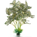 Bello Plant - Snow Flakes Plant - roślina L do obrazów 3D
