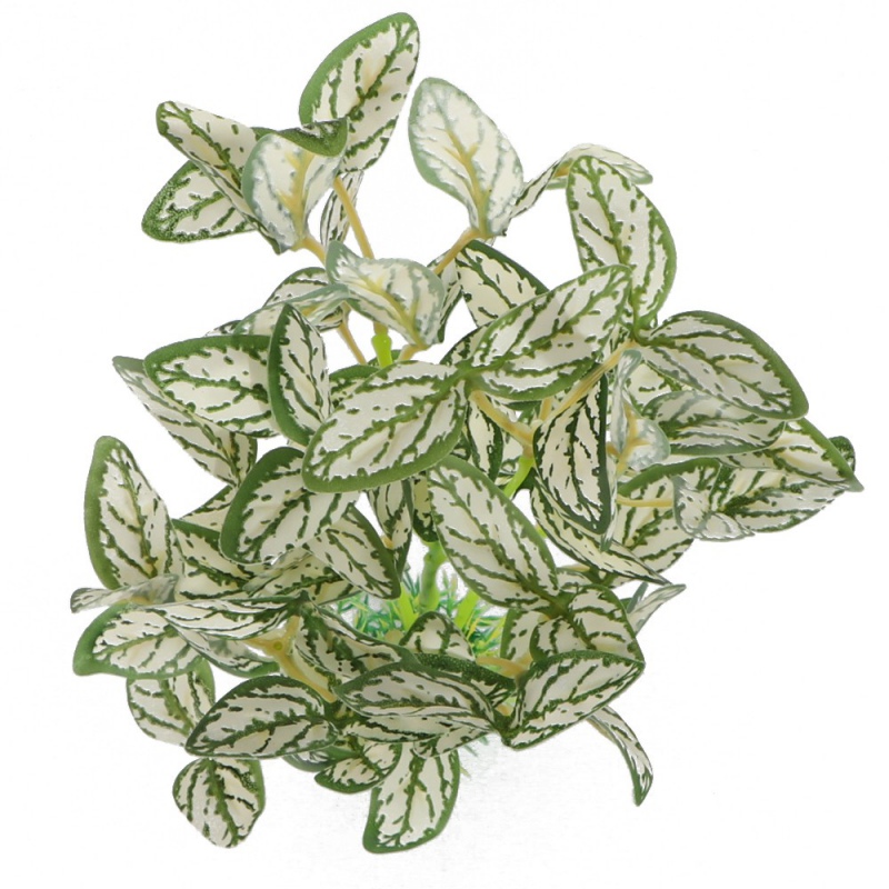 Bello Plant - Snow Flakes Plant - roślina L do obrazów 3D