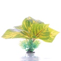 Bello Plant - Birch in Autumn- roślina M do obrazów 3D