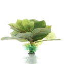 Bello Plant - Double Ficus - roślina M do obrazów 3D