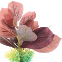 Bello Plant - Purple Poplar Tree - roślina M do obrazów 3D