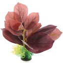 Bello Plant - Purple Poplar Tree - roślina M do obrazów 3D