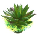 Bello Plant - Spiky Cactus - roślina S do obrazów 3D