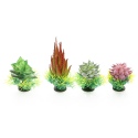 Bello Plant - Plant Mix - zestaw roślin do obrazów 3D