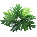 Bello Plant - Oak's Leaf - roślina XL do obrazów 3D