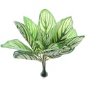 Bello Plant - White Natural Seed - roślina XL do obrazów 3D