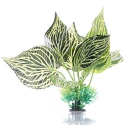 Bello Plant - Randy Green Overgrowth  - roślina M do obrazów 3D