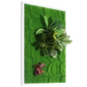 Bello Plant - Green Hearts - roślina XL do obrazów 3D