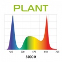 Aquael Leddy Slim 36W Plant 100-120