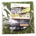 Repti-Zoo Natural Moss Back&Bottom - tło i podłoże z mchu 20x20cm