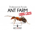 Ant Expert Deep Mine - formikarium akrylowe profesjonalne
