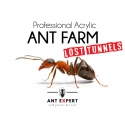 Ant Expert Lost Tunnels - formikarium akrylowe profesjonalne